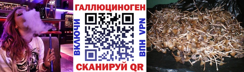omg как зайти  Короча  Галлюциногенные грибы ЛСД 